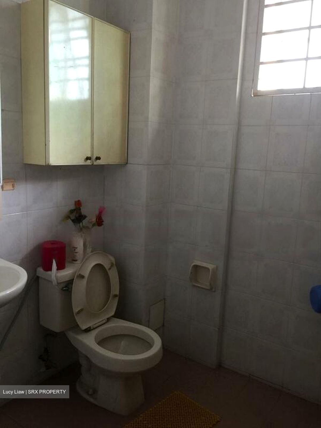 Hai Sing Crescent (D19), Semi-Detached #498655991